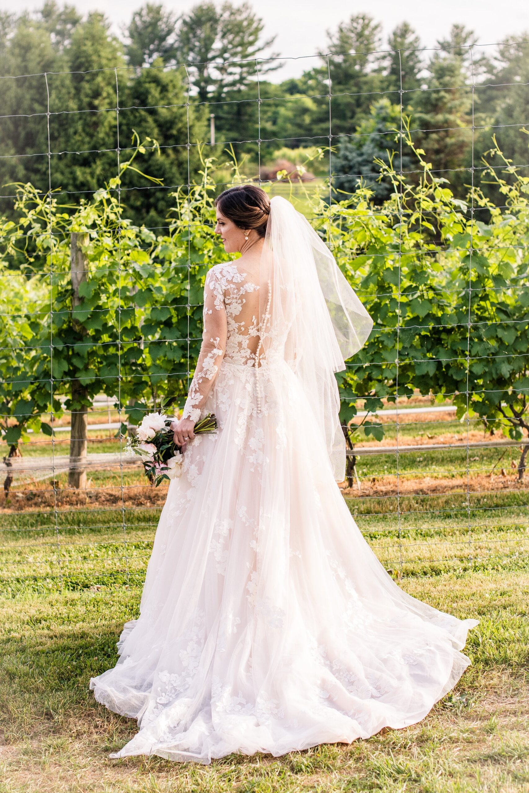 A bride showing off the back of her dress in the vineyards during her wedding at one of the best wedding venues in Northern Virginia