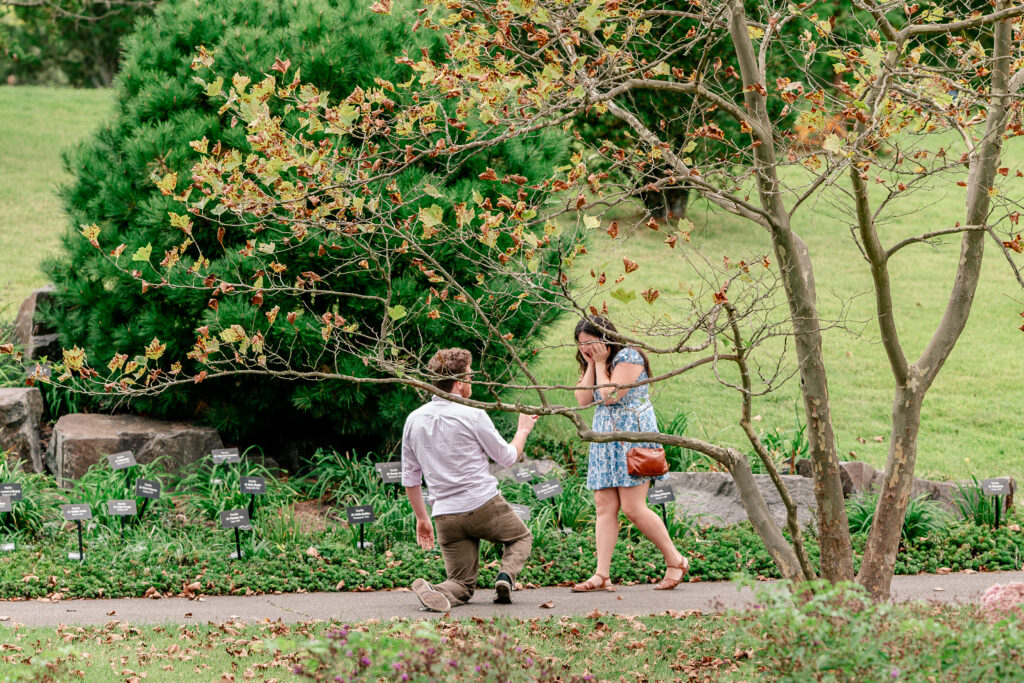 A proposal at Meadowlark Botanical Gardens in Vienna, Virginia