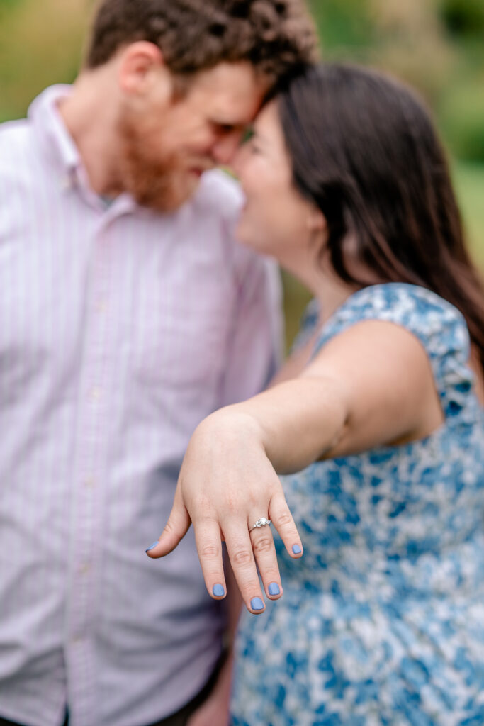 An engagement session at Meadowlark Botanical Gardens in Vienna, Virginia