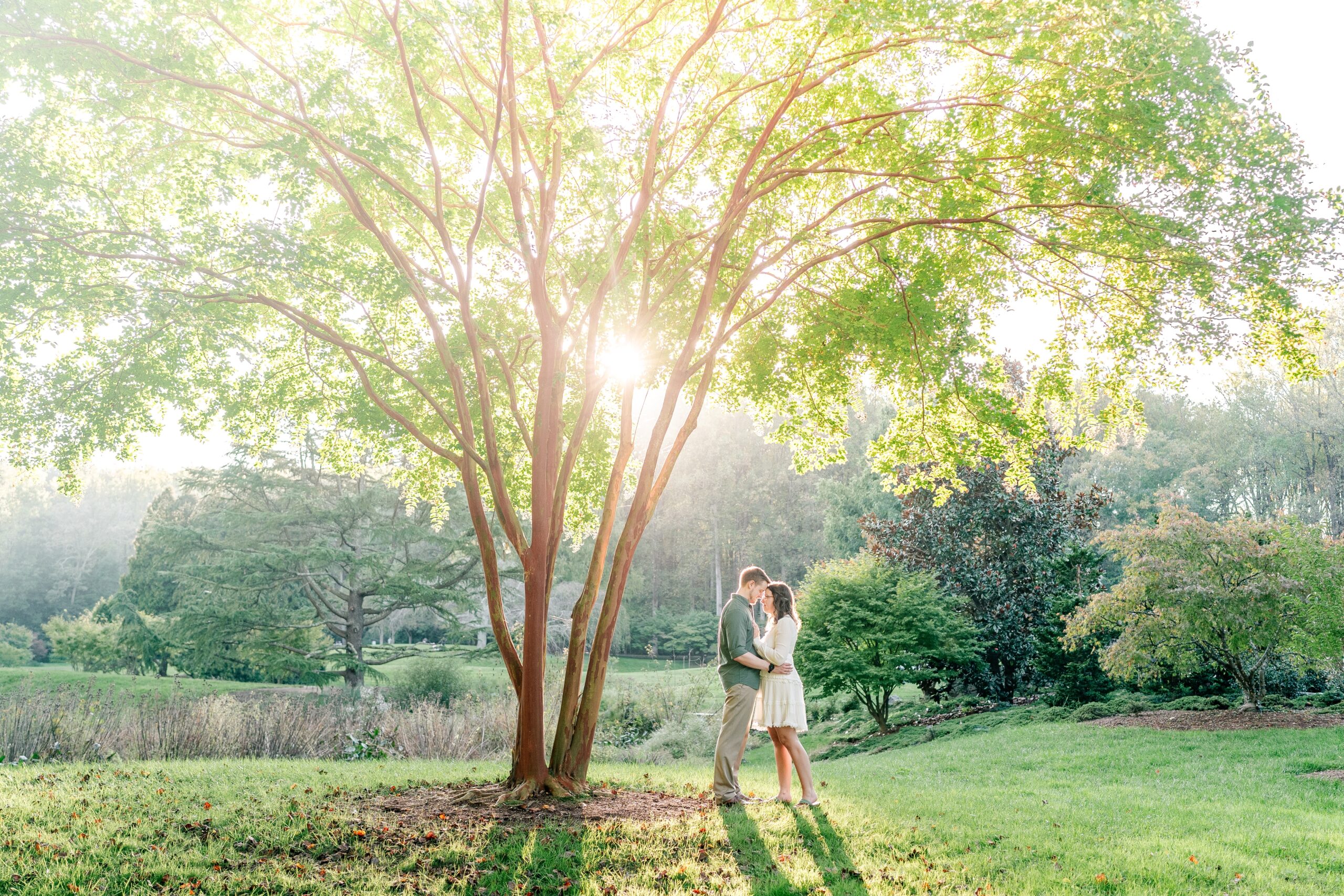 An engaged couple in golden hour light during their Brookside Gardens engagement session