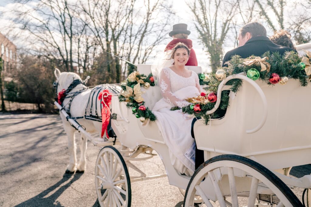 A bride smiles from inside a horse-drawn carriage for her Christmas themed wedding