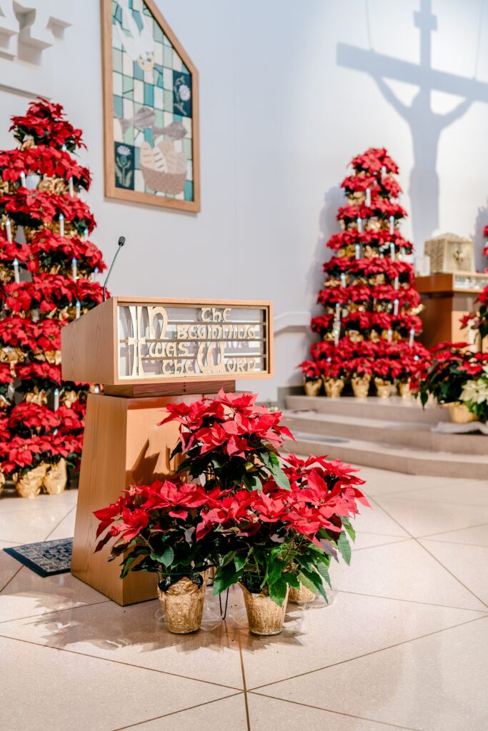 Poinsettia decorations for a Christmas themed wedding at St. Joseph Catholic Church in Herndon, Virginia