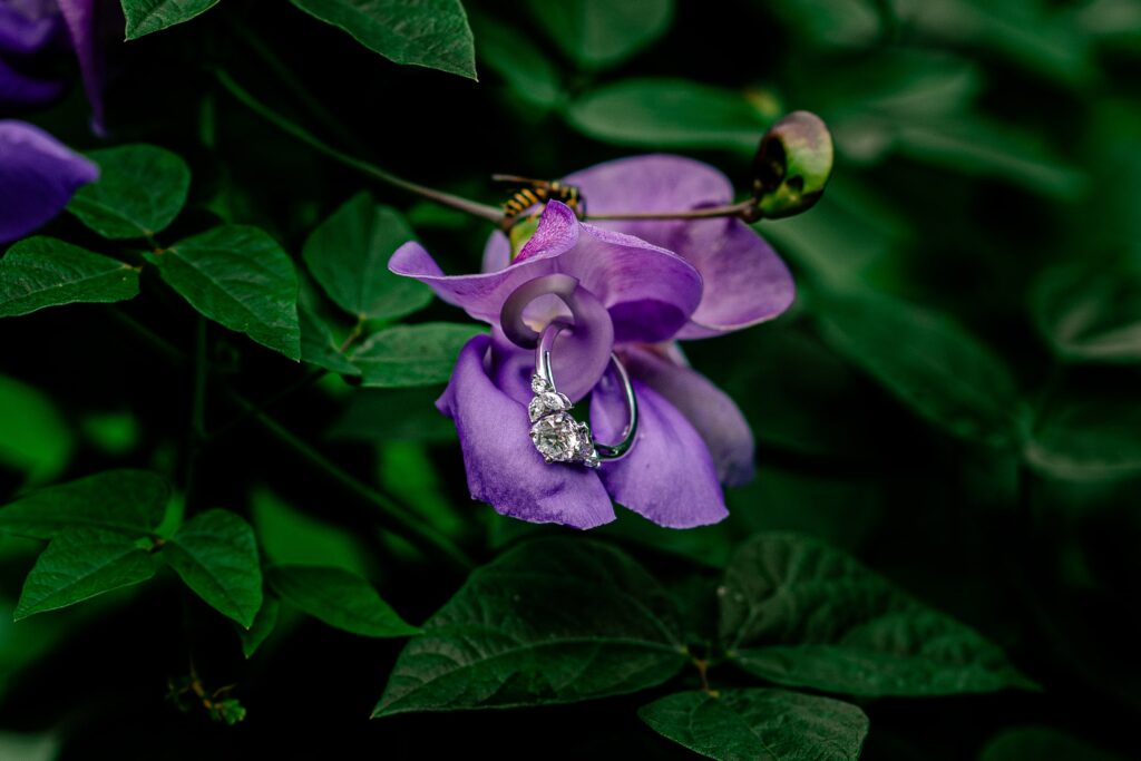 An image of an engagement ring hanging from the petals of a purple flower with a bee on top taken by Northern VA wedding photographer Beauty of the Soul Studio