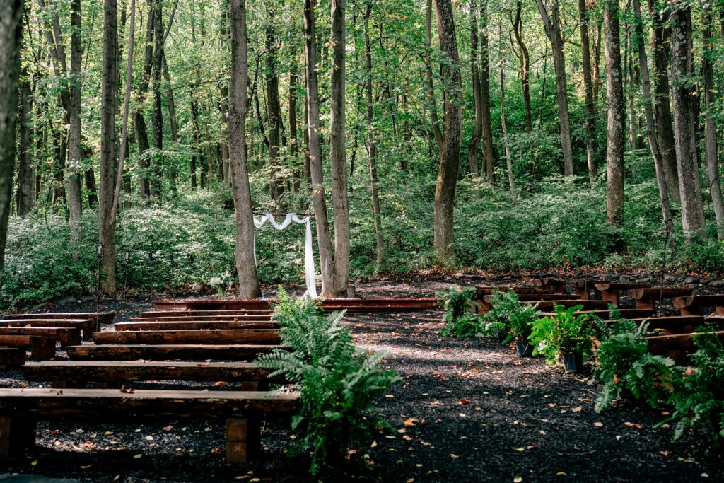 A woodland ceremony site for a Loudoun County wedding