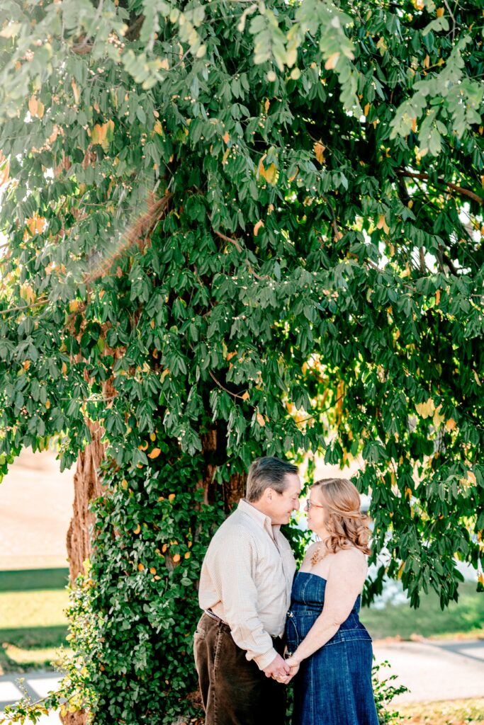 Maryland engagement photos in front of a tree covered in foliage