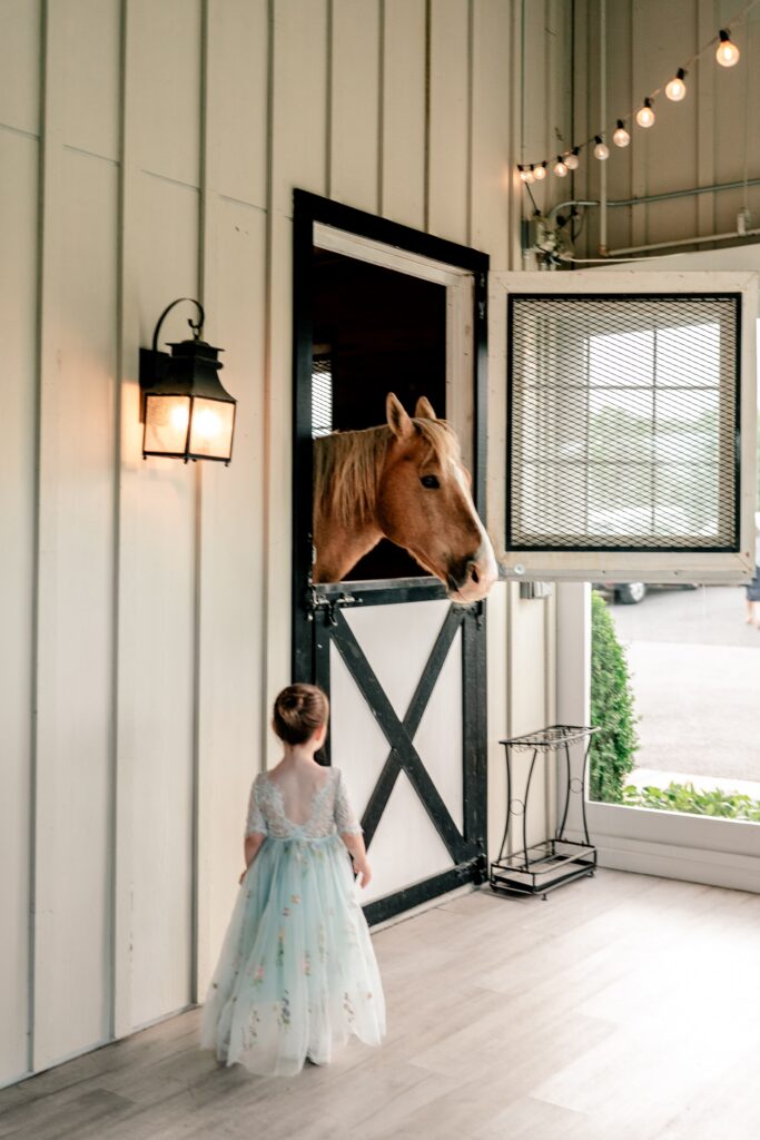 A little girl approaches a horse on display during a Shadow Creek wedding cocktail hour